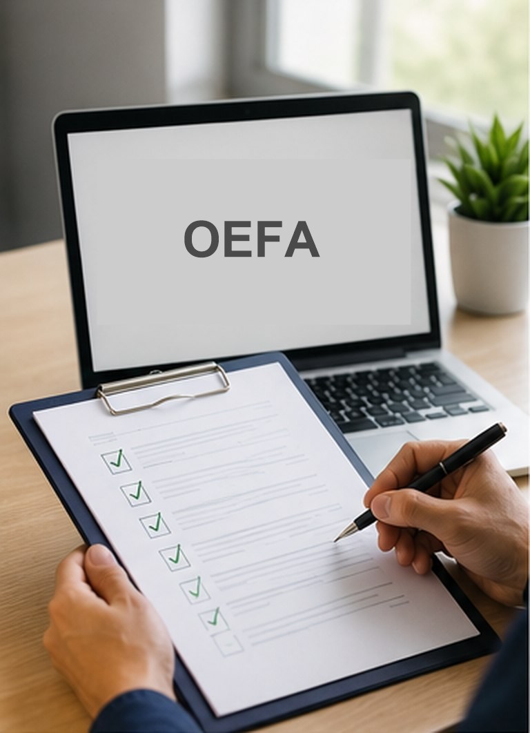 Levantamiento de Observaciones OEFA — descargo técnico